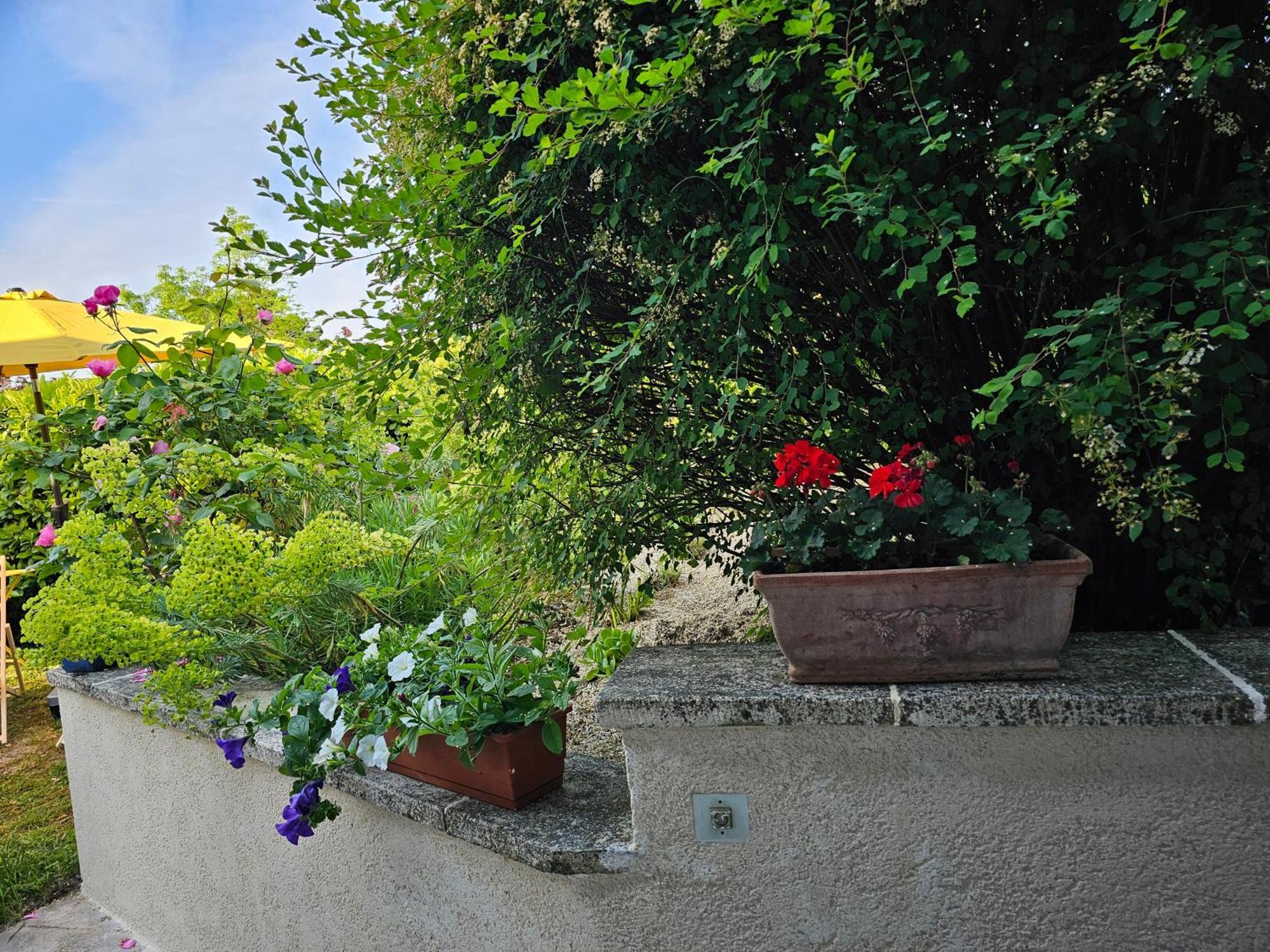 Clair Logis Villa Giverny Rum bild