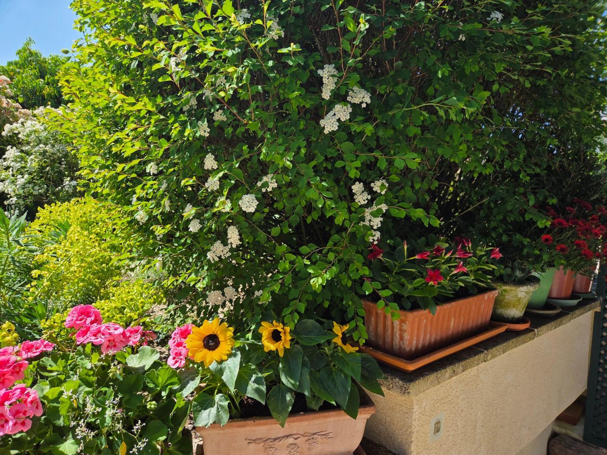 Clair Logis Villa Giverny Exteriör bild